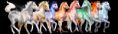 /album/kepeim/a200000014-1-png/